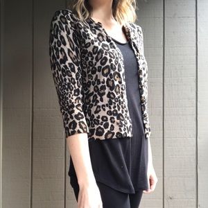 Leopard Ann Taylor Loft Cardigan
